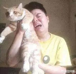 公猫绝育手术视频教程:猫咪要做绝育手术了，需要哪些注意事项，绝育之后猫咪会健康吗？