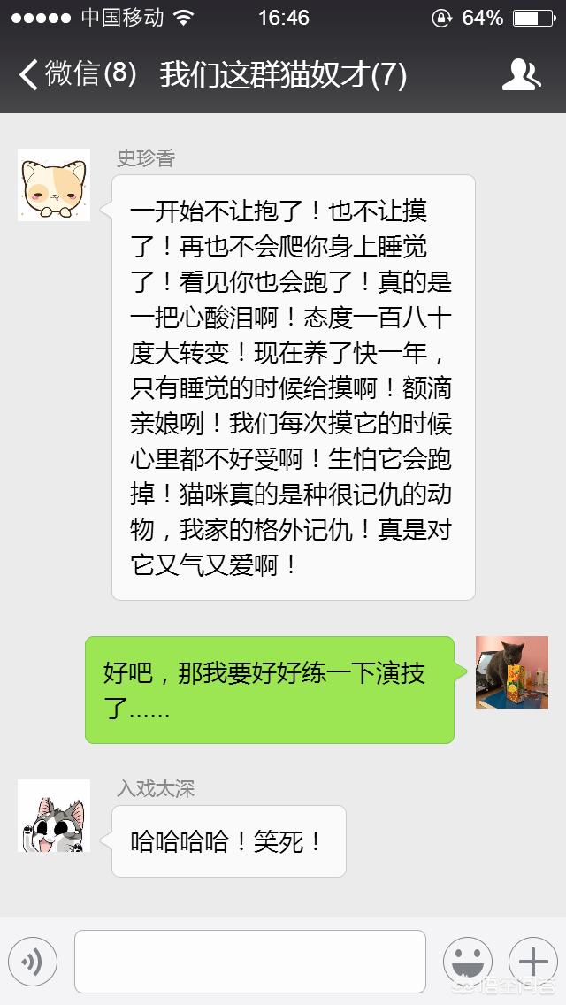 公猫绝育手术视频教程:猫咪要做绝育手术了，需要哪些注意事项，绝育之后猫咪会健康吗？