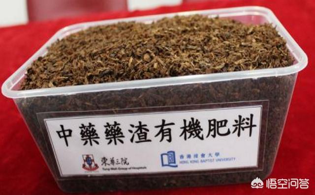 鱼骨粉制作天然磷肥:怎么自制氮、磷、钾肥等养花常用材料？