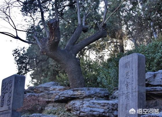 穿成首辅家的小野猫:给你一个机会穿越到李自成攻破北京的前夜你会如何拯救大明帝国？