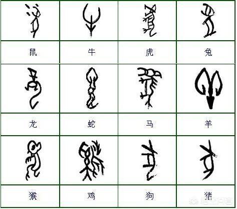 有没有一种视频语音转文字的软件？插图22