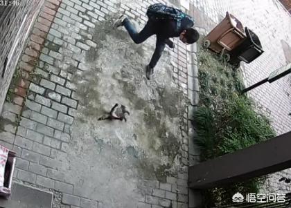 男子谋生杀猫卖钱被称残忍:传了两百年的“铁帽子王”，为何落得挖祖坟卖钱谋生结局？