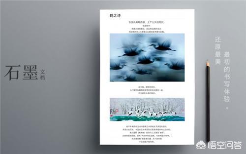 作为一个<a href=https://maguai.com/list/61-0-0.html target=_blank class=infotextkey>职场</a>人，电脑上必备哪些软件