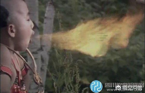 贪睡母女猫走红雌:《红楼梦》流落烟花巷的巧姐，刘姥姥为何“忍耻”招了巧姐？