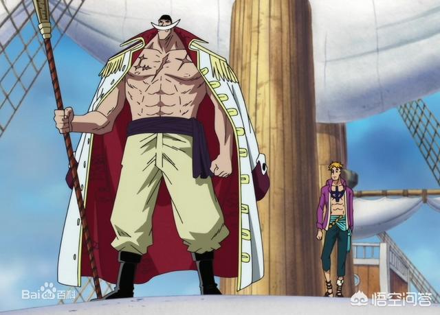 首先是从实力和定位上看马尔科作为白胡子海贼团的第一番队队长,地位