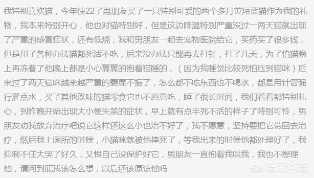 男子为自家猫咪纹身:男朋友摔死了我的猫，该原谅他吗？