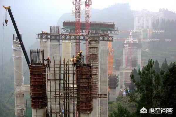 深海短吻狮子鱼图片:深栖短吻狮子鱼图片 100斤铁球能在马里亚纳海沟“存活”吗？不会被压强压成饼吗？