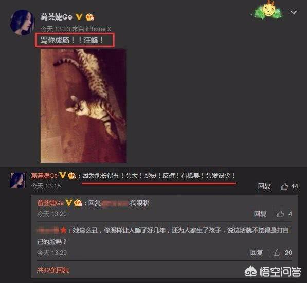 心疼汪峰:葛荟婕为何三番五次骂汪峰？