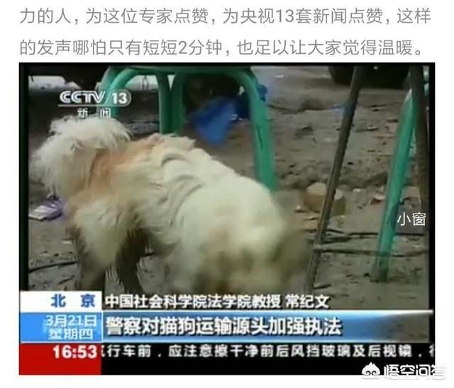 杭州 拦车救狗:杭州萧山义桥收费站拦截一辆运狗车，大家怎么看？