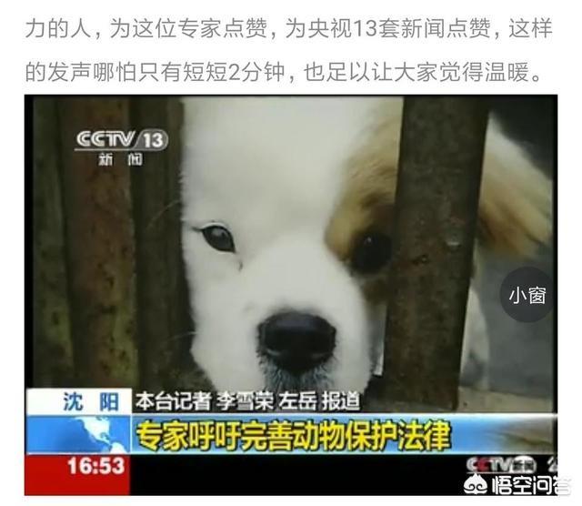 杭州 拦车救狗:杭州萧山义桥收费站拦截一辆运狗车，大家怎么看？