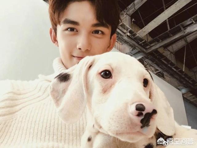王棠云依偎余文乐:余文乐结婚了，男神还剩谁