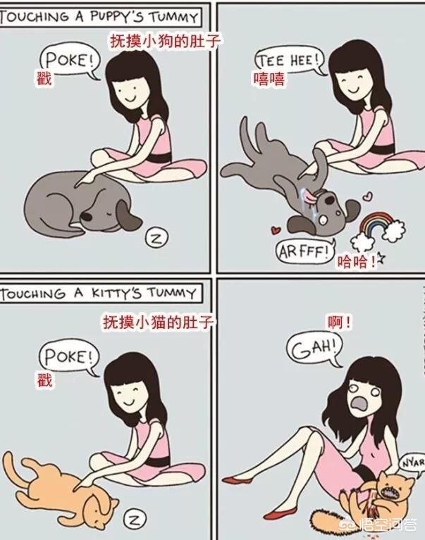 上海伴游招聘喵姐:猫咪认定主人的表现