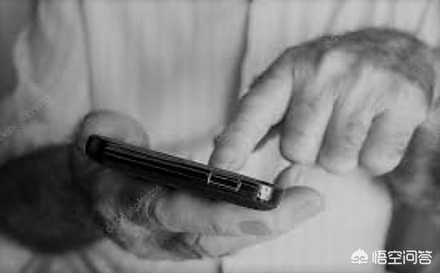 会使用智能手机的老年人：会使用智能手机的老年人数量
