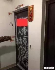 摔狗事件后续:“爱狗人士”参与的几个热点事件为何会产生那么大的影响？