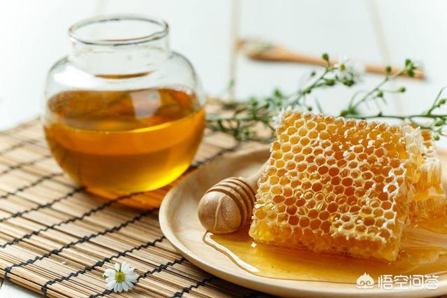 枫香树叶提取物:钓鱼用的小药是用什么东西做的？