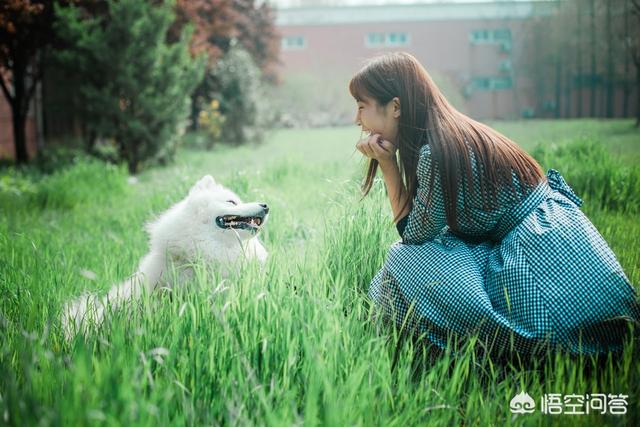 新出生的婴儿抱回家，狗狗是如何识别她是小主人而不咬她的？