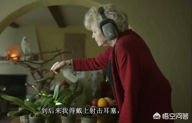 红毛灰鹦鹉:新手养灰鹦鹉有哪些技巧？ 灰鹦鹉变异红毛