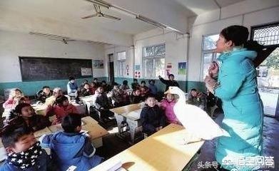 家养大鹅的祖先:如何看待洛阳乡村教师把大鹅带进教室，给孩子们上课