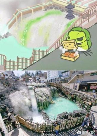 风靡朋友圈的游戏下载:养蛙游戏里的蛙是哪种蛙？