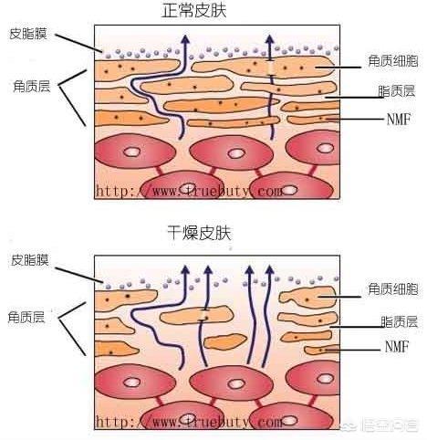 春秋时期男性化妆品:大学男生应该用哪些护肤品？