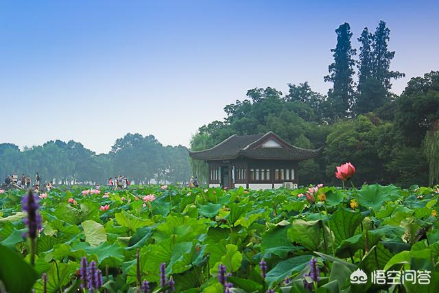 西湖十景是杭州西湖有哪些旅遊景點杭州西湖十大美景推薦