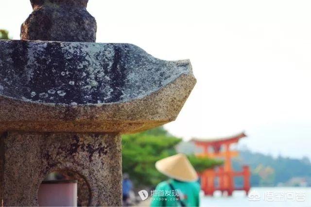 风靡<a href=https://maguai.com/list/256-0-0.html target=_blank class=infotextkey>朋友圈</a>的青蛙<a href=https://maguai.com/list/48-0-0.html target=_blank class=infotextkey>游戏</a>:受人喜欢《旅行青蛙》为什么说是佛系养儿子<a href=https://maguai.com/list/48-0-0.html target=_blank class=infotextkey>游戏</a>？