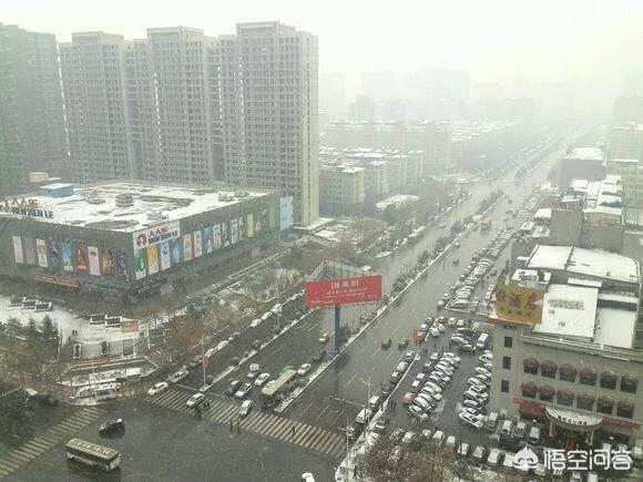 风靡<a href=https://maguai.com/list/256-0-0.html target=_blank class=infotextkey>朋友圈</a>的青蛙:最近好像青蛙好火，这是个新的梗吗？