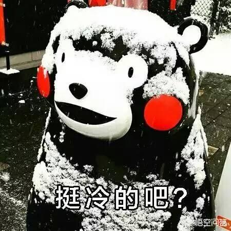 最近流行的Canada Goose加拿大鹅羽绒服有什么特点,为什么越来越多的人穿着它？