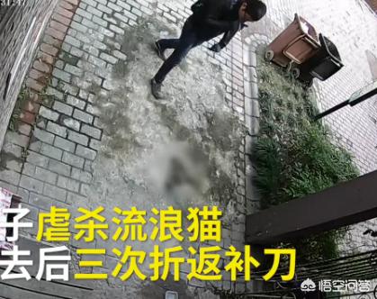 男子谋生杀猫卖钱被称残忍:传了两百年的“铁帽子王”，为何落得挖祖坟卖钱谋生结局？