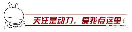 是买社保好,还是买保险好？