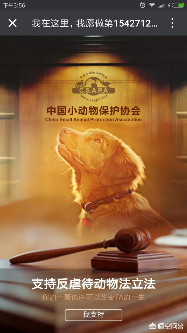 男子摔狗事件:如何看待广州一男子用绳吊狗致死，狗惨叫不断，男子却哈哈大笑？ 成都摔狗事件