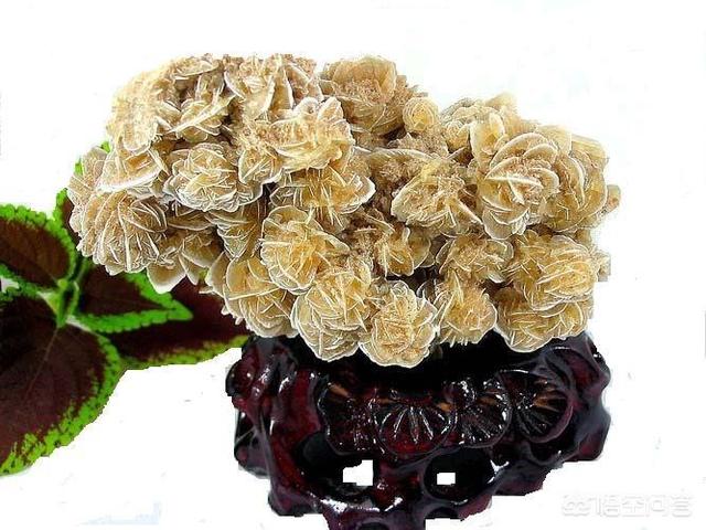 阿拉善彩玉手镯,阿拉善彩玉手持有收藏价值吗？