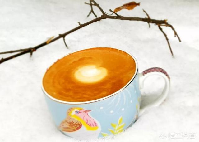 我们喝的咖啡为什么叫拿铁、美式和卡布奇诺？插图8