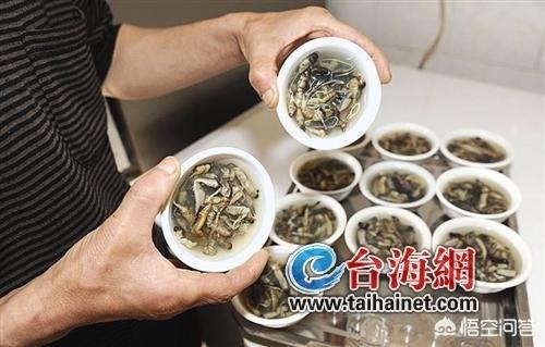 福建都有哪些外地人不敢吃的<a href=https://maguai.com/list/82-0-0.html target=_blank class=infotextkey><a href=https://maguai.com/list/82-0-0.html target=_blank class=infotextkey>美食</a></a>