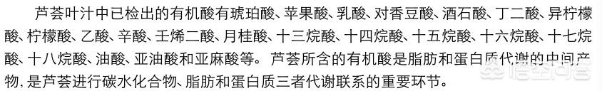 芦荟的用途:芦荟有什么功效拿它做菜怎么做好吃