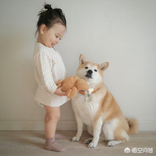 养宠物的好处:养宠物对宝宝有哪些好处，萌宝宠物如何安全相处？ 养宠物的好处英语作文