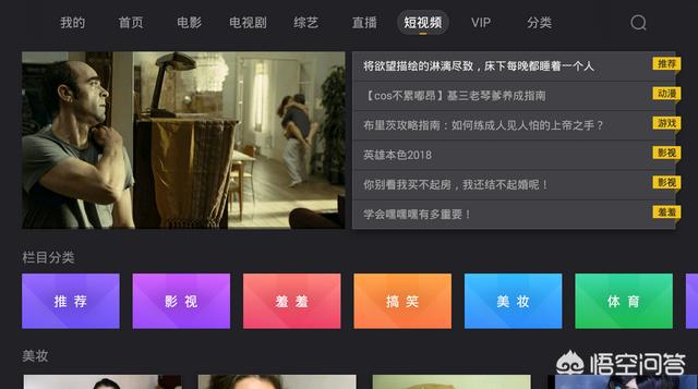 天眼猫视频:小猫不让碰，一靠近就“哈”人怎么办？