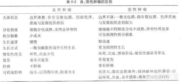 恶性肿瘤与癌症的区别,怎样诊断与鉴别良恶性肿瘤？