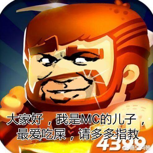 我家长说我的世界画质不好,看了迷你世界的图片后让我玩迷你世界,我怎么说迷你抄袭？