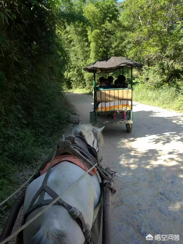 云南城子古村灵异事件:和女朋友去云南旅游，预算三千够不够？有什么景点推荐？
