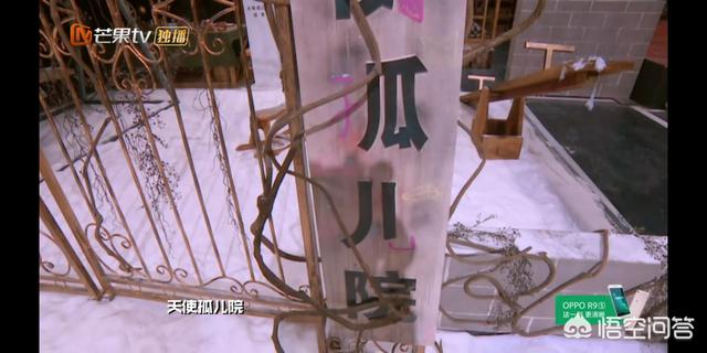 明星大侦探好看的哪几期,《明星大侦探》哪一期主题最好？