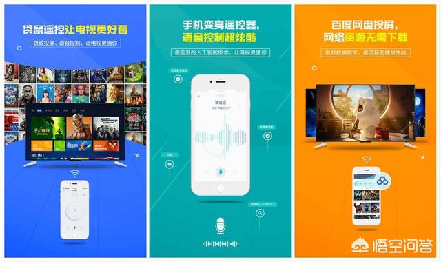 色狗狗网影音先锋:狗狗是色盲吗？可以看见其他颜色吗？