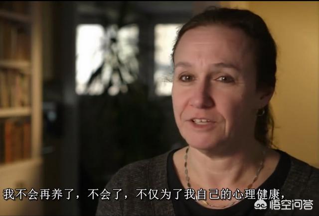 红毛灰鹦鹉:新手养灰鹦鹉有哪些技巧？ 灰鹦鹉变异红毛