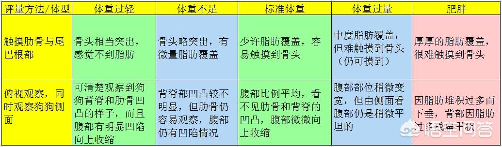 纯种拉布拉多犬简介:拉布拉多正常体重是多少？