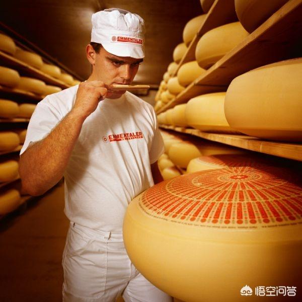 捕鼠器里的奶酪:如何评价韩剧《奶酪陷阱》？
