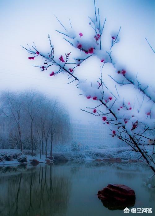 是前世注定莫错过姻缘什么意思,女孩比男孩大三岁合适吗？