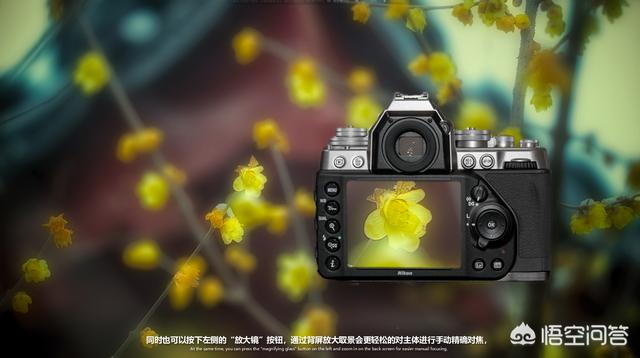 田中瞳豹纹:为什么松井玲奈写真集可以有对焦偏移的照片？