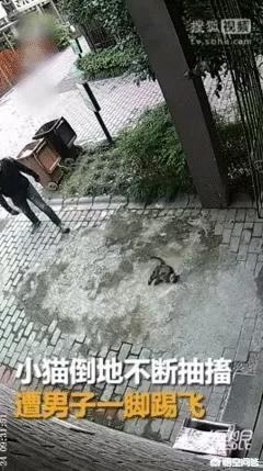 男子摔狗事件:如何看待广州一男子用绳吊狗致死，狗惨叫不断，男子却哈哈大笑？ 成都摔狗事件
