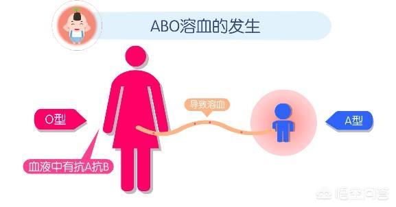 a型血和什么血型的能生出o型血：a型血和哪个血型生出o型