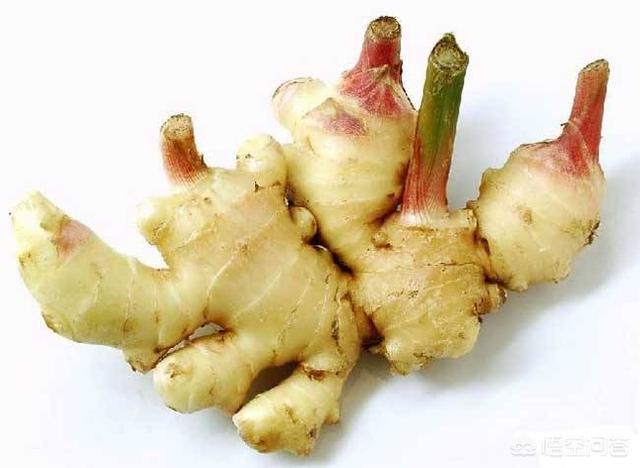 头条问答 生姜该怎么保存 80个回答